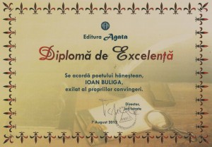 diploma ioan buliga [800x600]