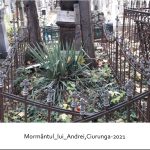 Peste mormântul lui Andrei Ciurunga s-a așternut... uitarea