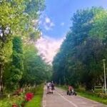 Parcul Cancicov din Bacău