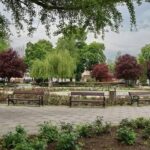 Parcul Trandafirilor din Bacău
