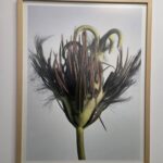 “Nature after Nature” — reimaginarea relației noastre cu natura prin artă