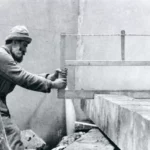 ANUL  BRÂNCUȘI.  Sculpturile lui Constantin Brâncuși și influența arhitecturii populare din Gorj