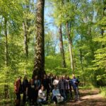 Profesorul, creator de conținut educațional autentic 