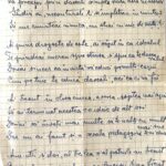 IN MEMORIAM CONSTSATIN ISTRATE ! „Tânăra dăscăliță” - Ideologia muncii și etica profesională