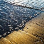 Sorin Marius Ion: Fotografia ca spațiu al contemplației 