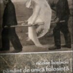 Pământ de unică folosință